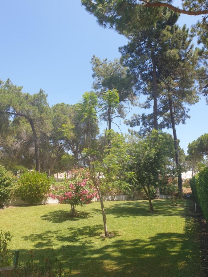 The Pinewood Villa *