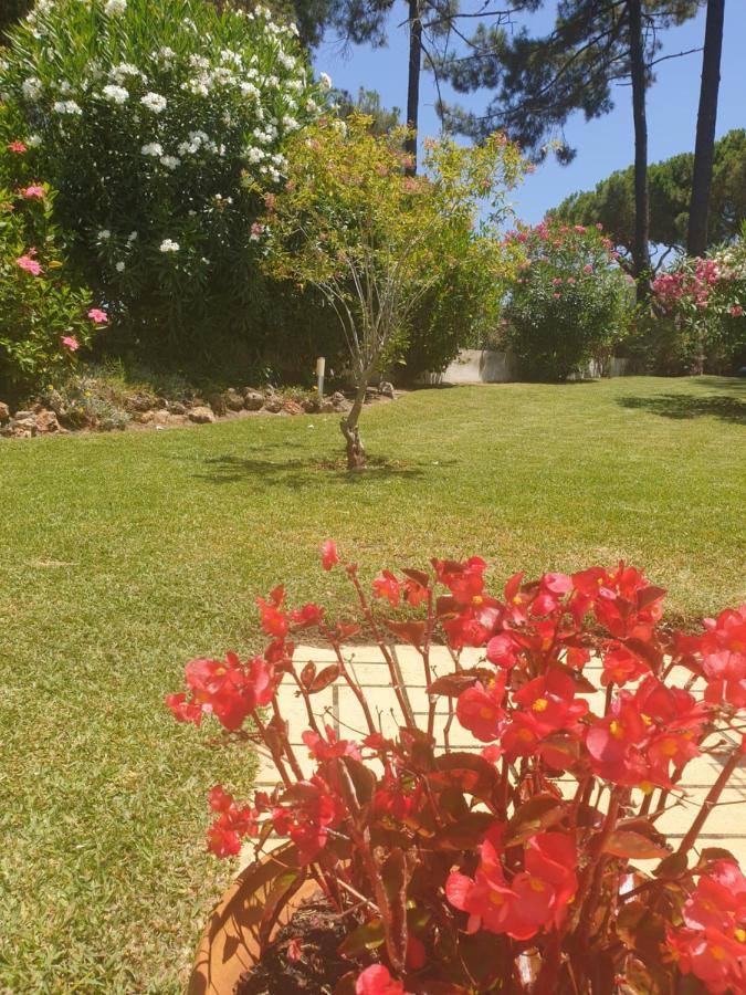 Villa The Pinewood Vilamoura