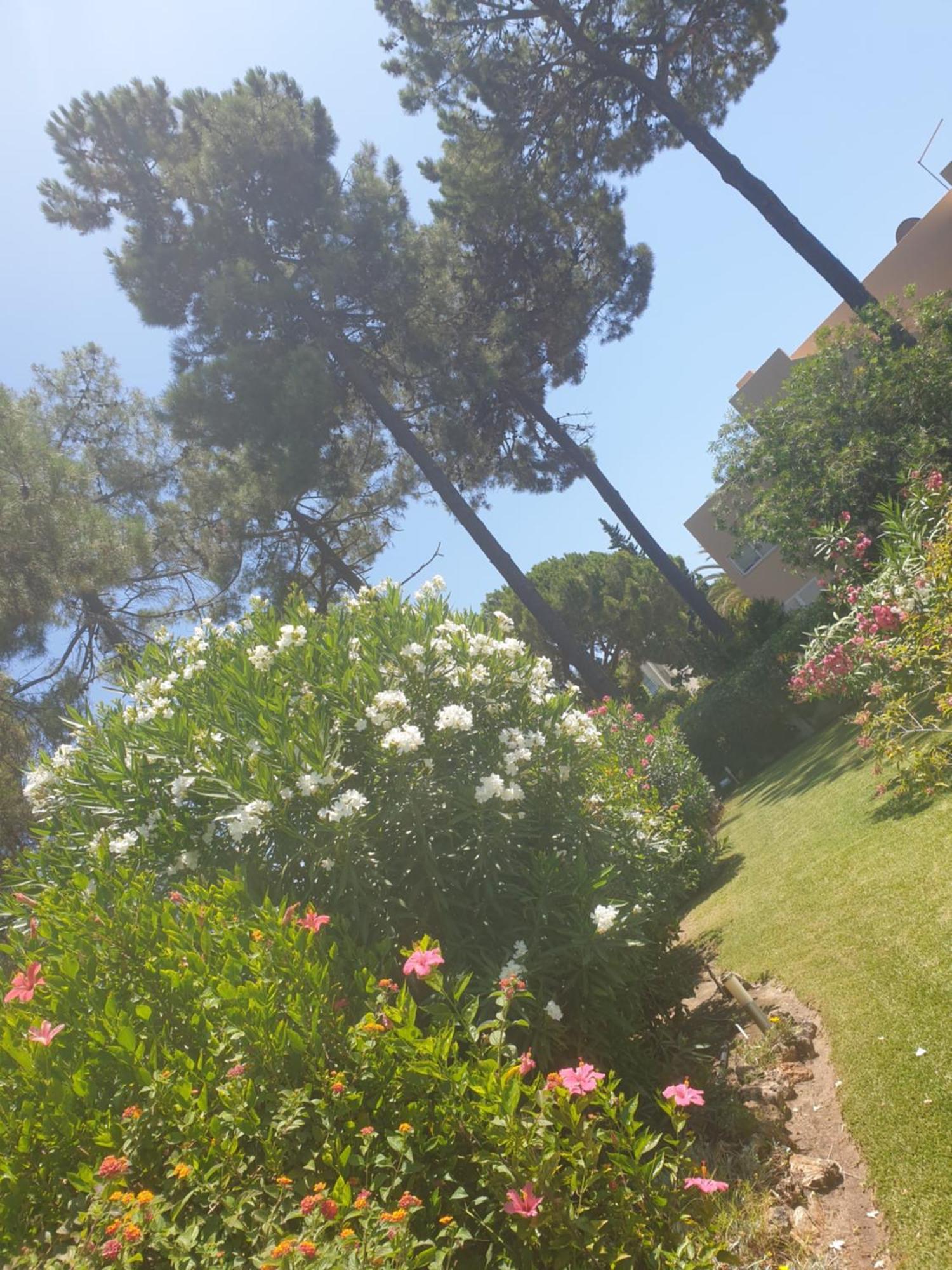 The Pinewood * Vilamoura